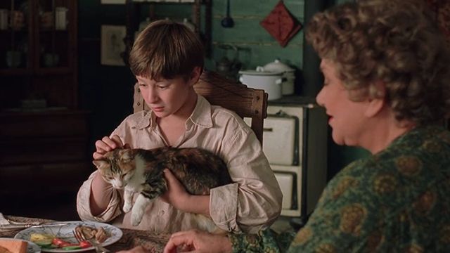 david no filme sonho da liberdade